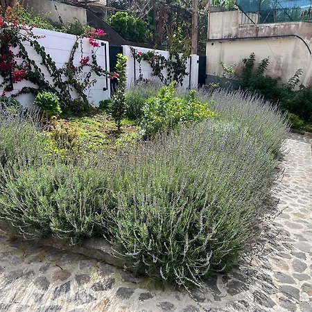 Casa Do Avo ポンタ・ド・ソル