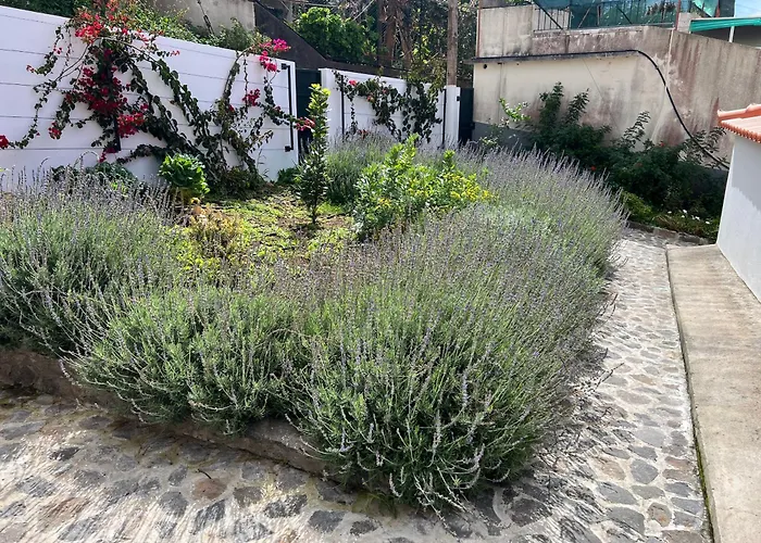 Casa Do Avô Ponta do Sol (Madeira)